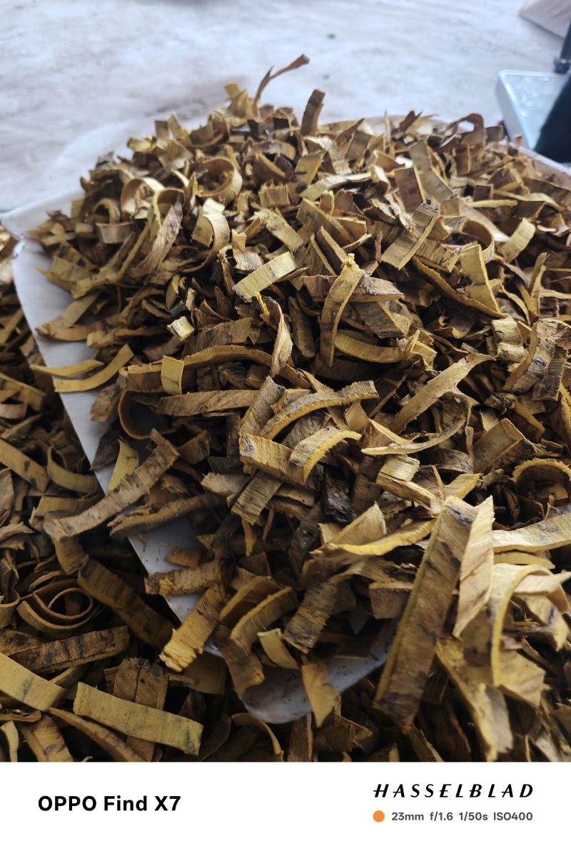 湖北恩施咸丰县大山区的几十的老黄柏，需要的新老客户欢迎订