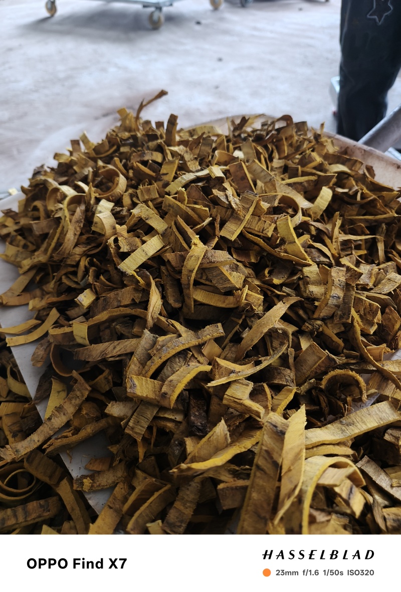 湖北恩施咸丰县大山区的几十的老黄柏，需要的新老客户欢迎订