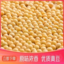 黄豆东北农家高蛋白豆腐新鲜豆浆豆芽农家豆芽非转基因当季新
