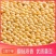 黄豆东北农家高蛋白豆腐新鲜豆浆豆芽农家豆芽非转基因当季新