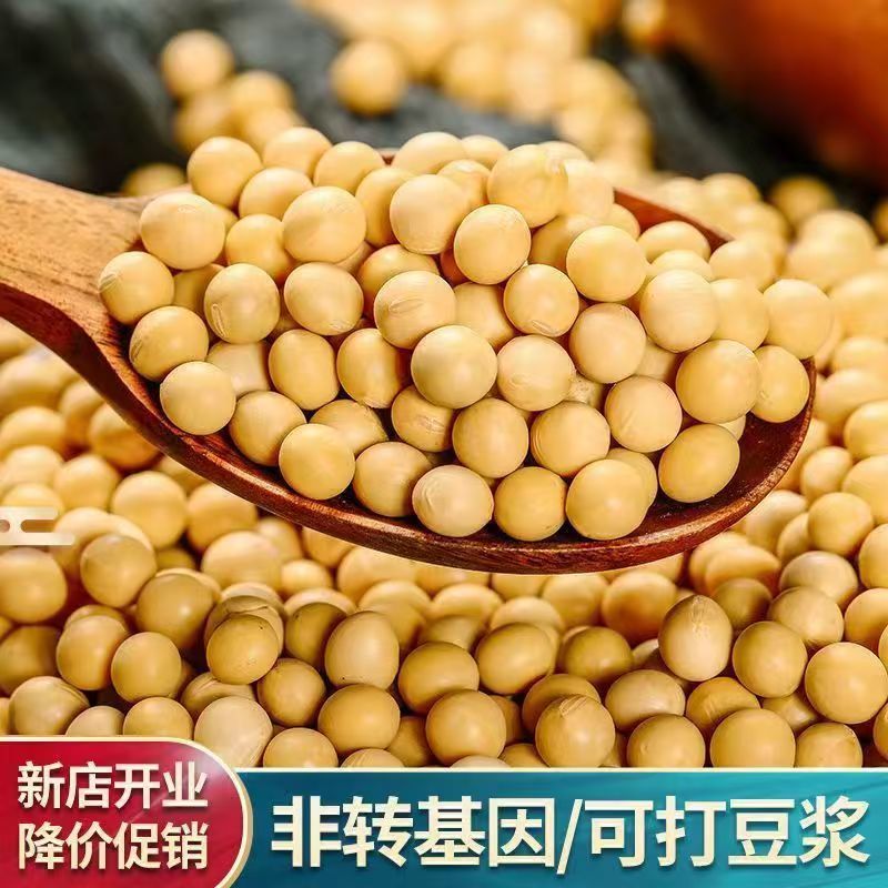 黄豆东北农家高蛋白豆腐新鲜豆浆豆芽农家豆芽非转基因当季新