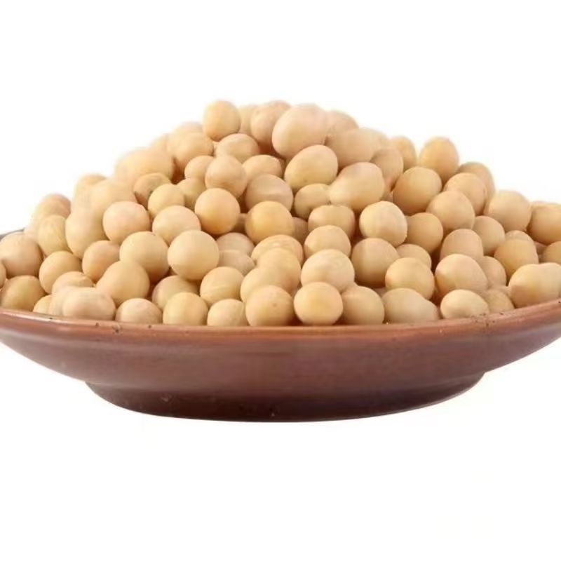 黄豆东北农家高蛋白豆腐新鲜豆浆豆芽农家豆芽非转基因当季新