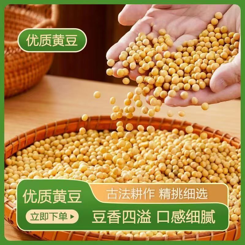 黄豆东北农家高蛋白豆腐新鲜豆浆豆芽农家豆芽非转基因当季新