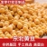 黄豆东北农家高蛋白豆腐新鲜豆浆豆芽农家豆芽非转基因当季新