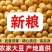 黄豆东北农家高蛋白豆腐新鲜豆浆豆芽农家豆芽非转基因当季新