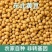 黄豆东北农家高蛋白豆腐新鲜豆浆豆芽农家豆芽非转基因当季新
