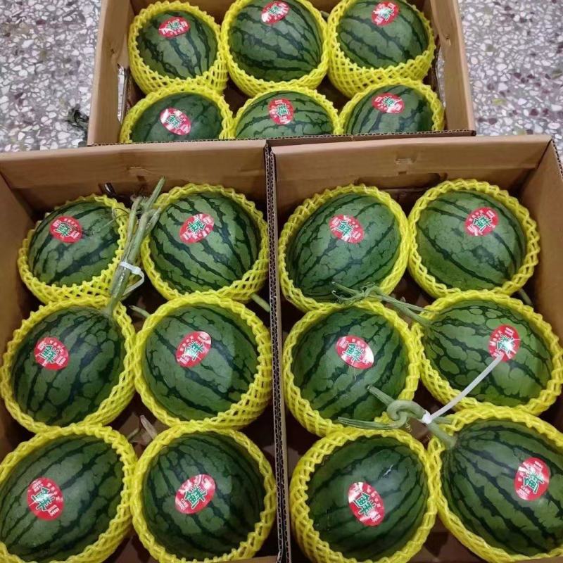 礼品西瓜大量有货，2k西瓜大量有货