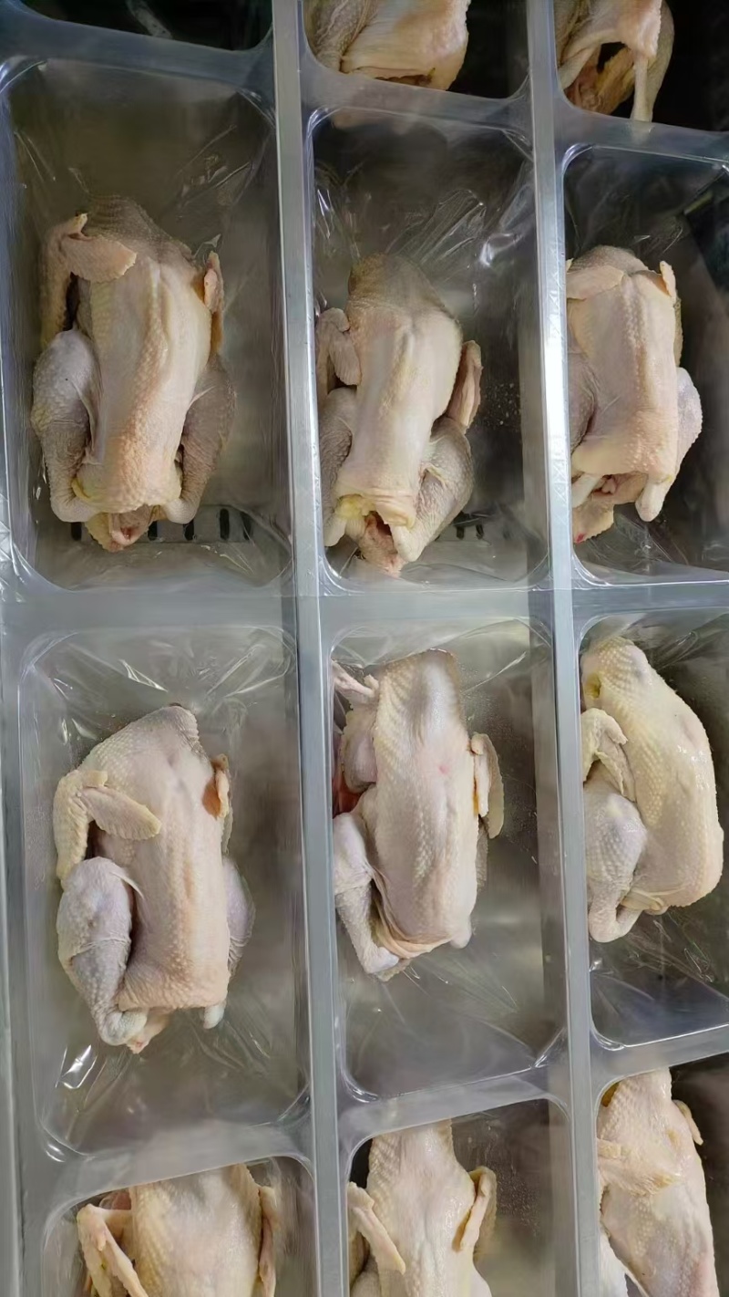 真空老母鸡所有规格