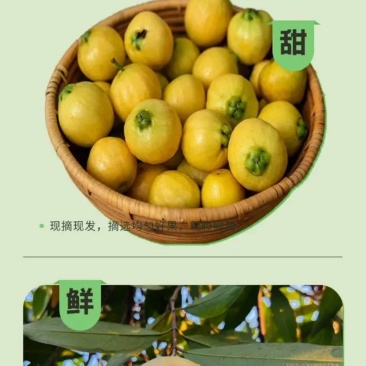 谁有货源联系我