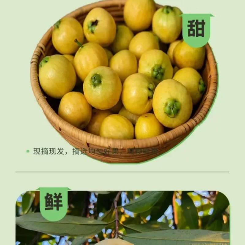 谁有货源联系我