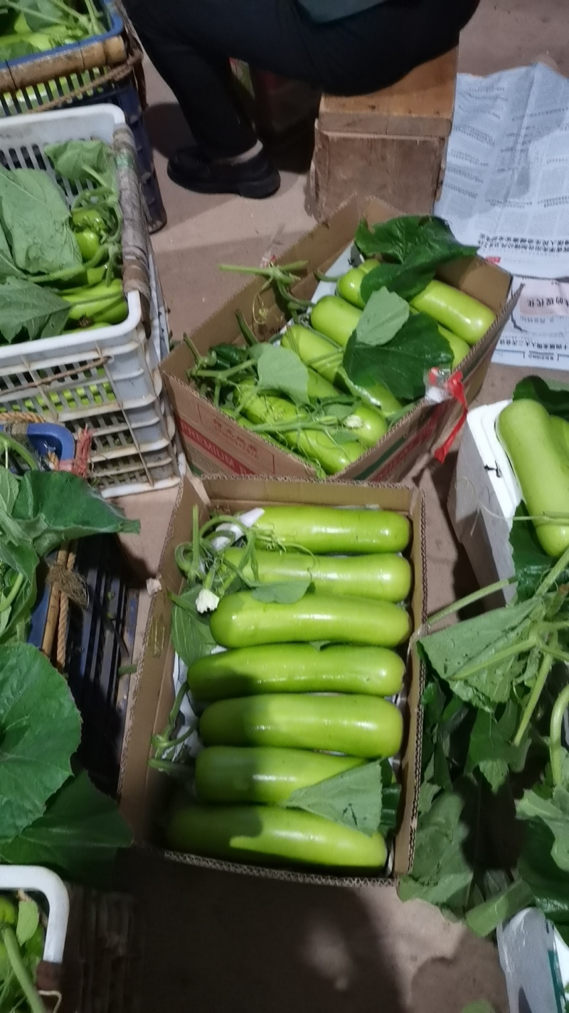 精品葫芦产地直销质量保证货源充足