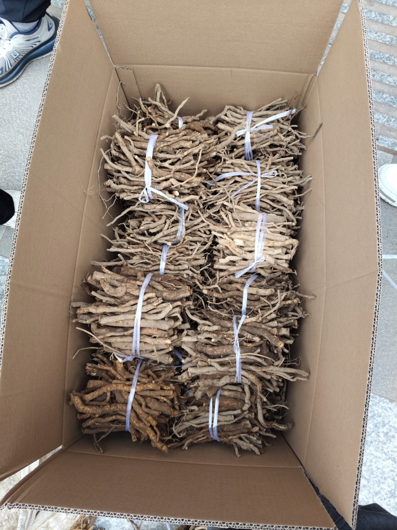 四川大通草根苗提供技术指导成活率高，现挖现发，品质保证