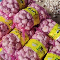 精品红皮大蒜，全国发货，货源充足，欢迎致电