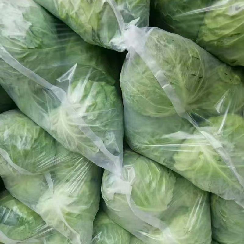 精品甘蓝大量有货