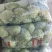 精品甘蓝大量有货