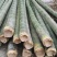 湖南楠竹8至10米支持定制规格，可支持视频看货