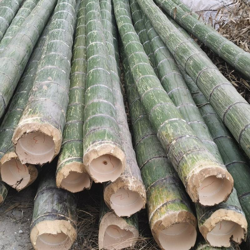 湖南楠竹8至10米支持定制规格，可支持视频看货