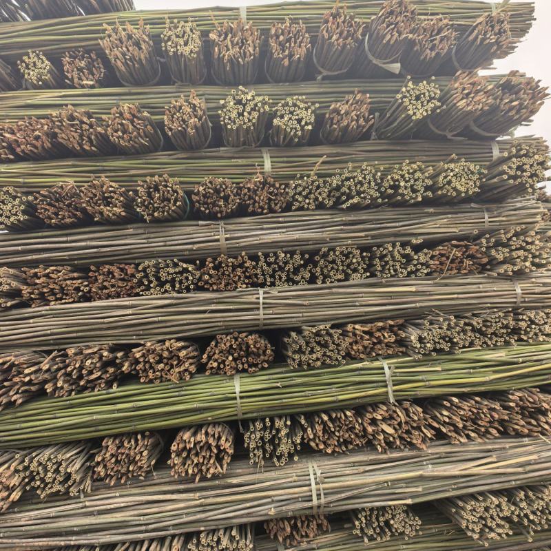 菜架竹，架豆角，引苗竹，火龙果架，百香果引苗。