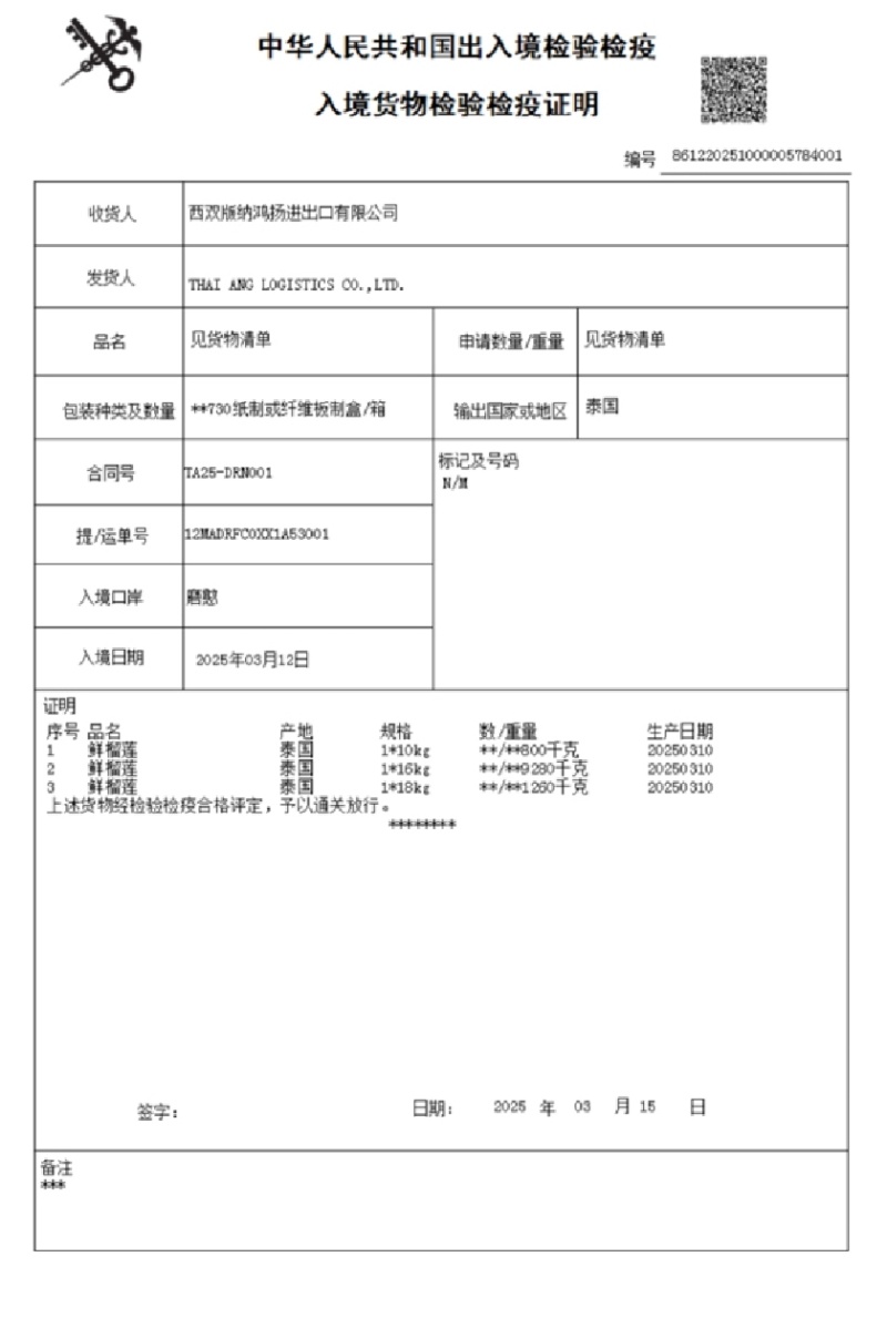 泰国托曼尼榴莲巴掌榴莲小猫山王榴莲大量有货一件代发批发