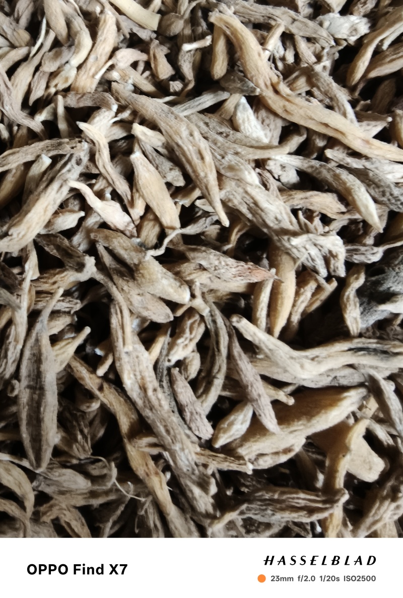 老板你好，今天是4月9号，麦冬质量好，需要的老板联系