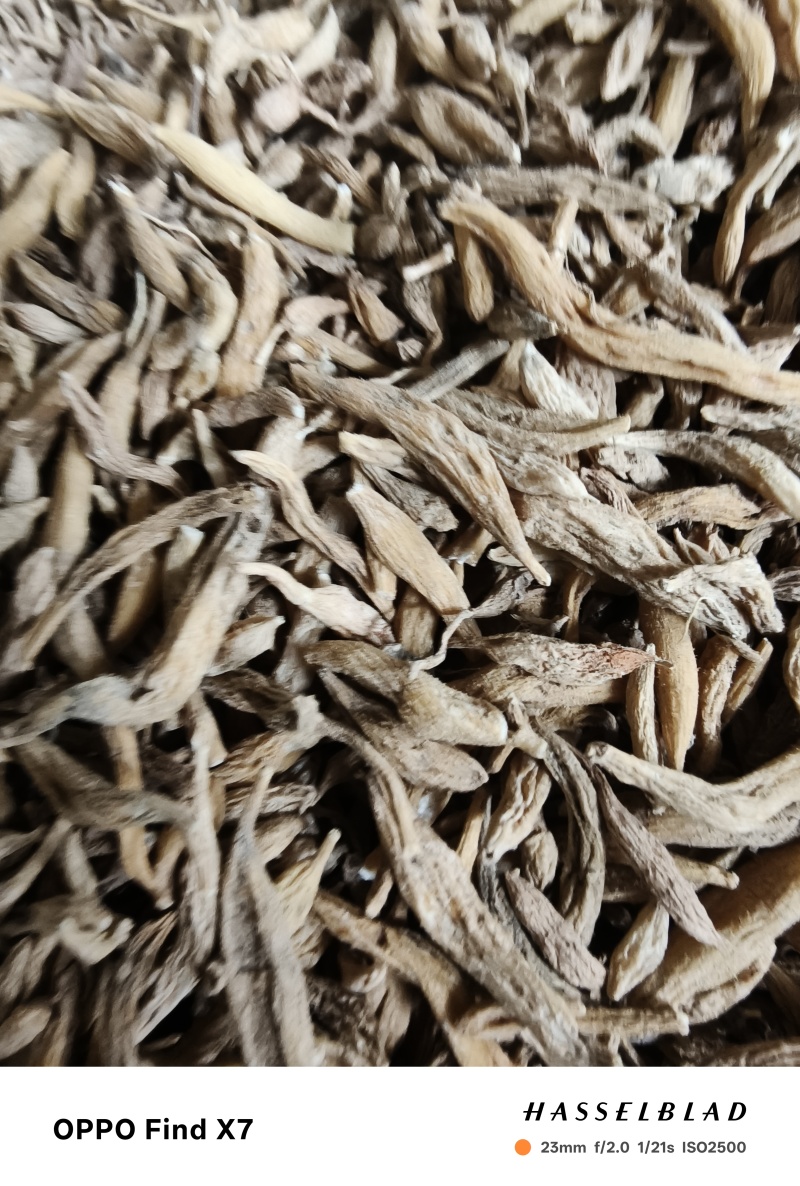 老板你好，今天是4月9号，麦冬质量好，需要的老板联系