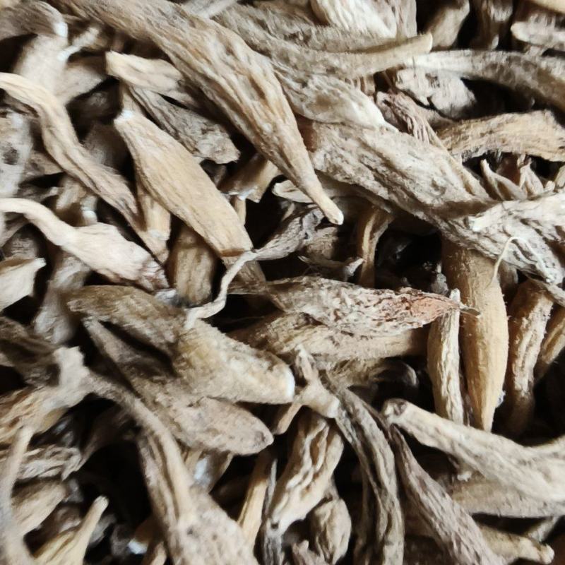老板你好，今天是4月9号，麦冬质量好，需要的老板联系