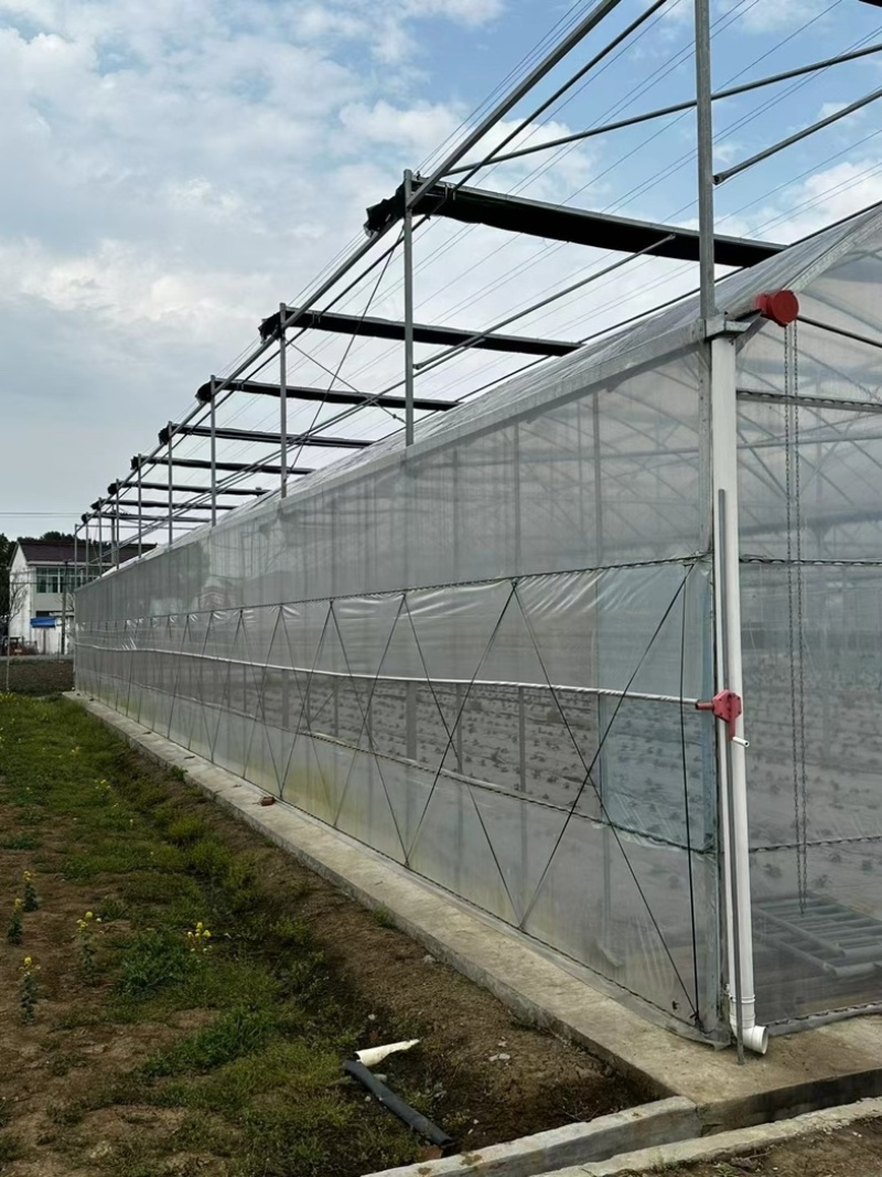 直销蔬菜种植大棚花卉温室尺寸齐全全国发货