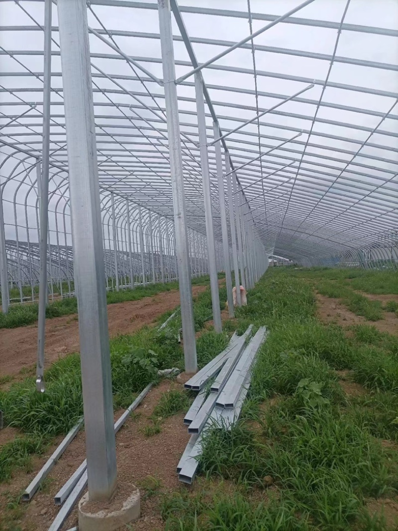 直销蔬菜种植大棚花卉温室尺寸齐全全国发货