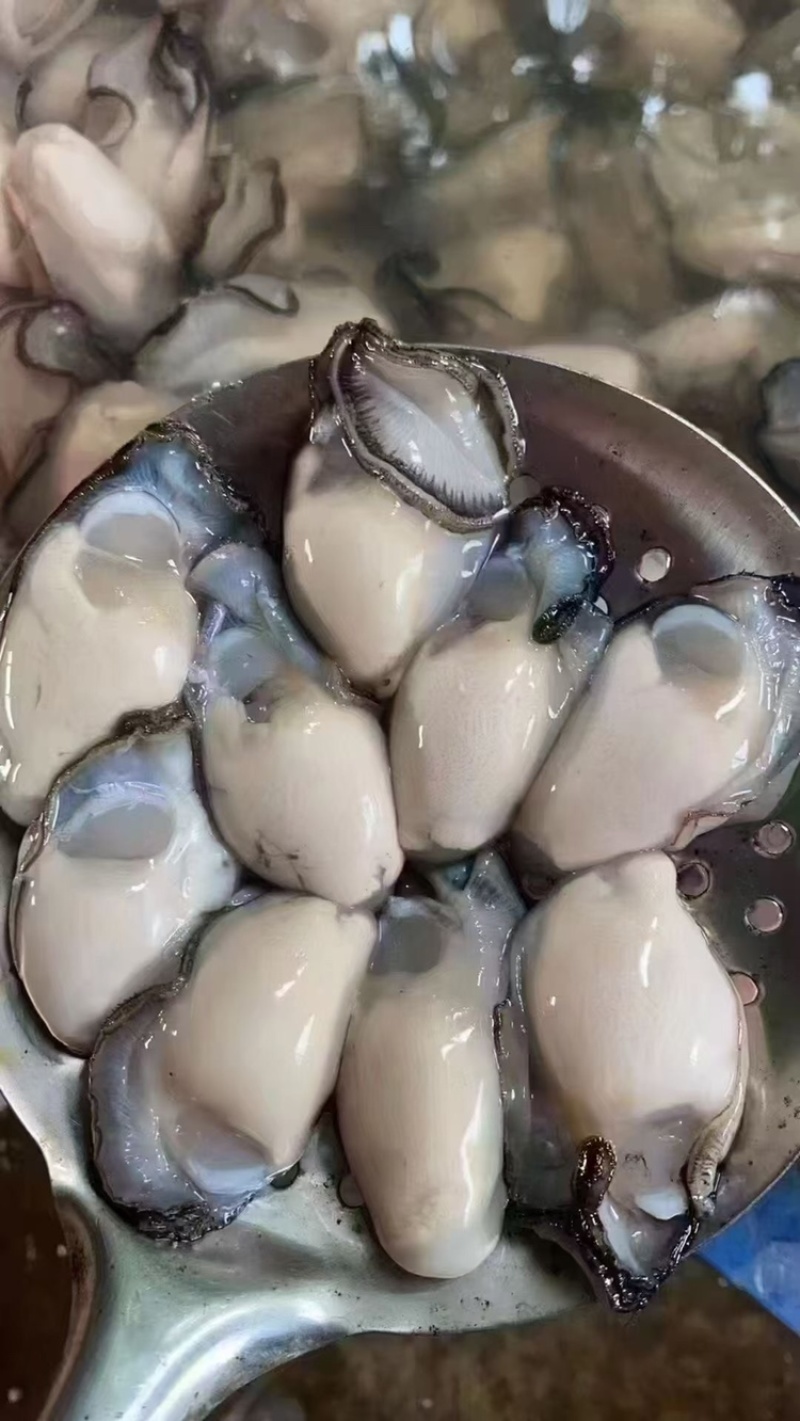 全壳，半壳有，纯肉特大，大，小都可以聊聊