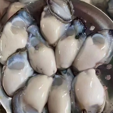 全壳，半壳有，纯肉特大，大，小都可以聊聊