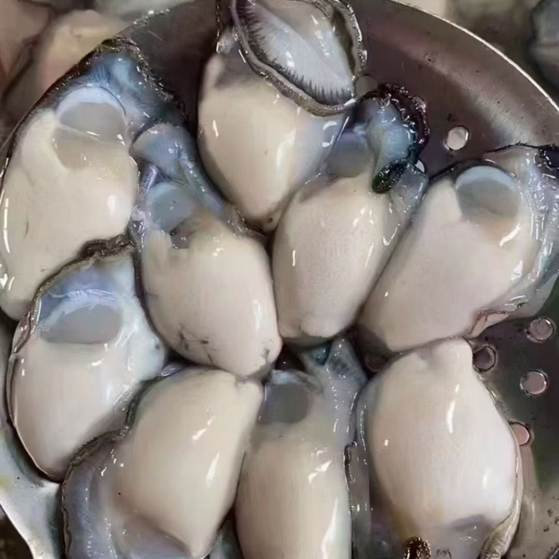 全壳，半壳有，纯肉特大，大，小都可以聊聊