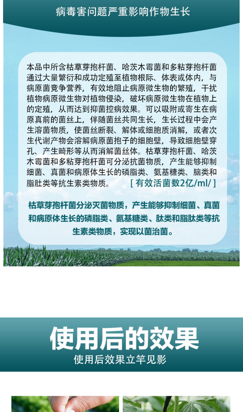 【精】菌立清果蔬大田通用型微生物菌剂杀菌克菌阻止病菌