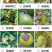 【精】菌立清果蔬大田通用型微生物菌剂杀菌克菌阻止病菌