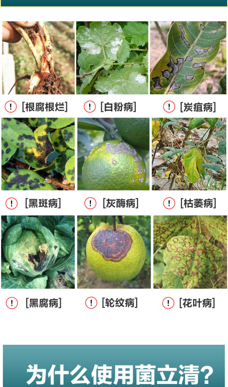 【精】菌立清果蔬大田通用型微生物菌剂杀菌克菌阻止病菌