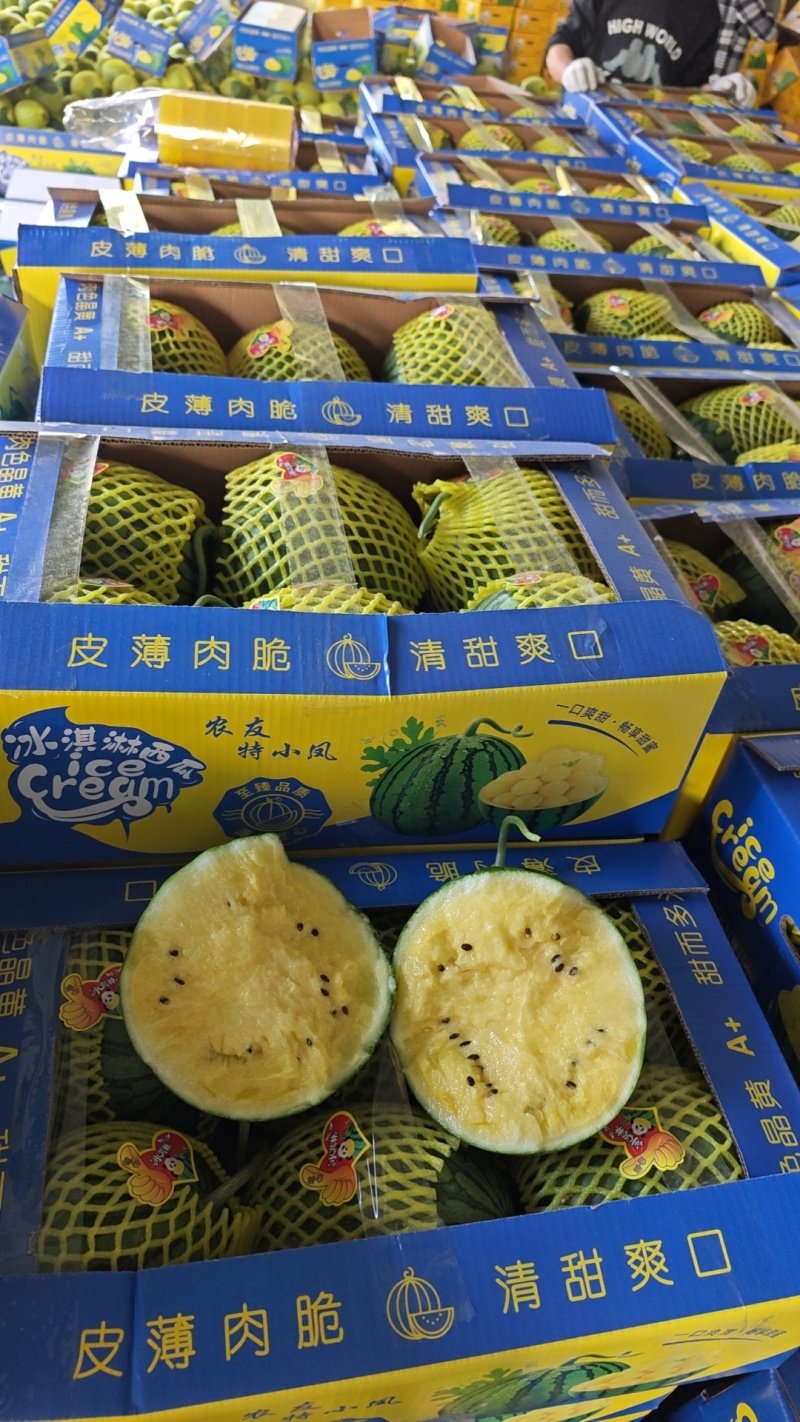 【精品】特小凤西瓜每日可供10万斤，保证质量，欢迎批发