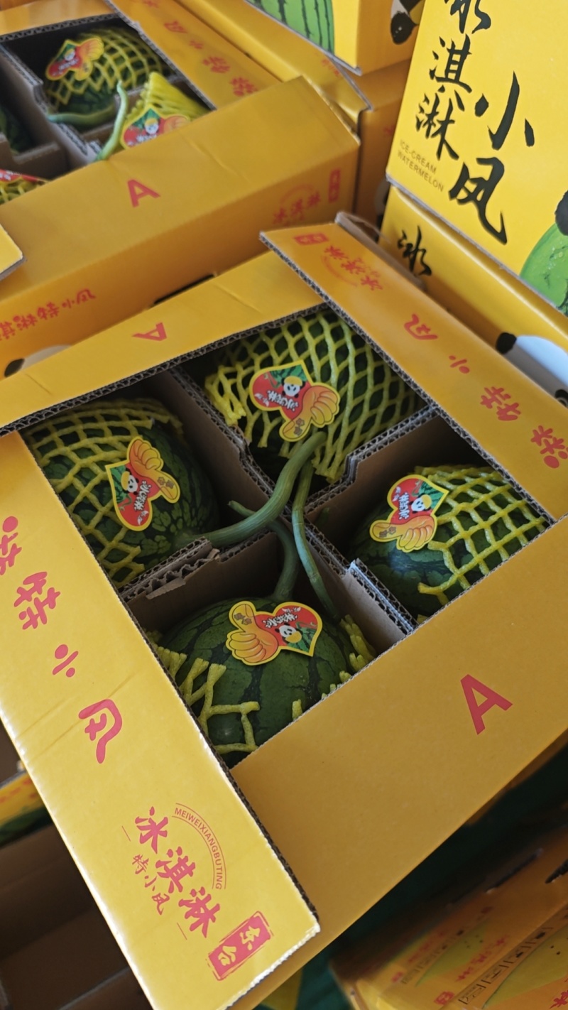 【精品】特小凤西瓜每日可供10万斤，保证质量，欢迎批发