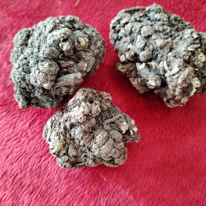 川芎原产地发货保质保量量大价优可视频看货欢迎老板