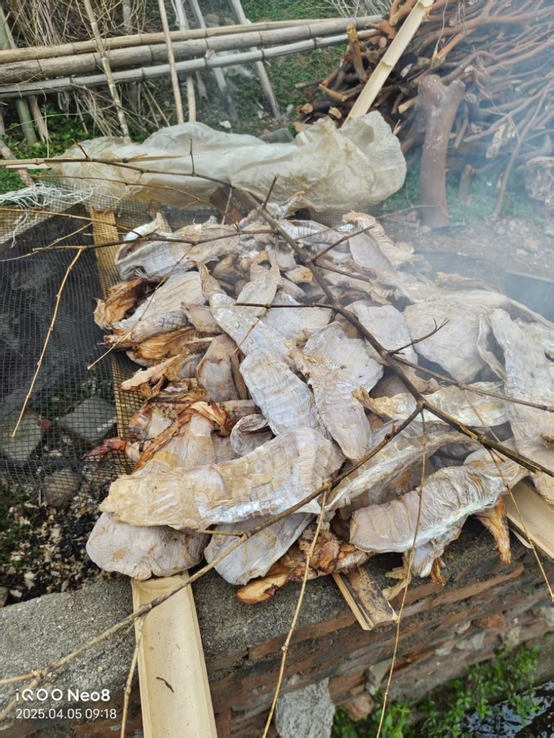江西笋干自产自销大量现货供应，规格齐全，可视频看货