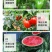 微生物菌剂瓜果蔬菜聚能肥改良土壤促根促苗营养全面