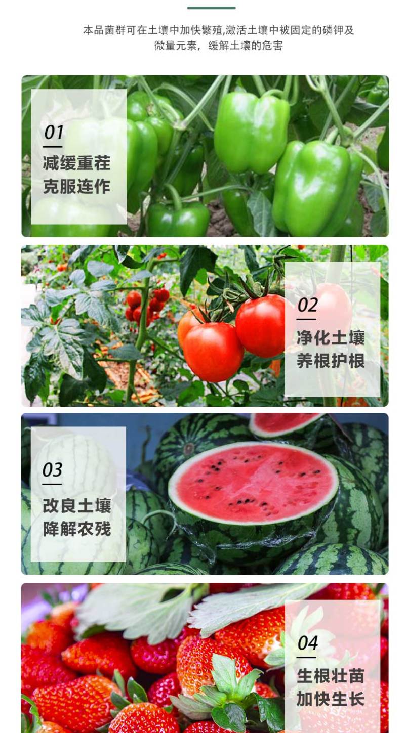 微生物菌剂瓜果蔬菜聚能肥改良土壤促根促苗营养全面