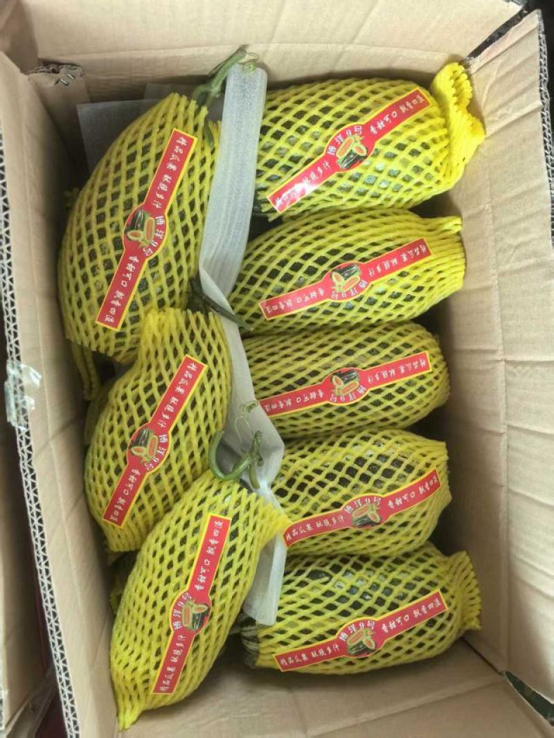 博洋9大量供货产地直发价格优惠品质保证欢迎来电谈