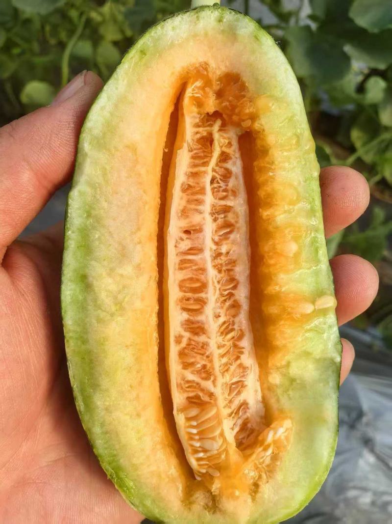 博洋9大量供货产地直发价格优惠品质保证欢迎来电谈