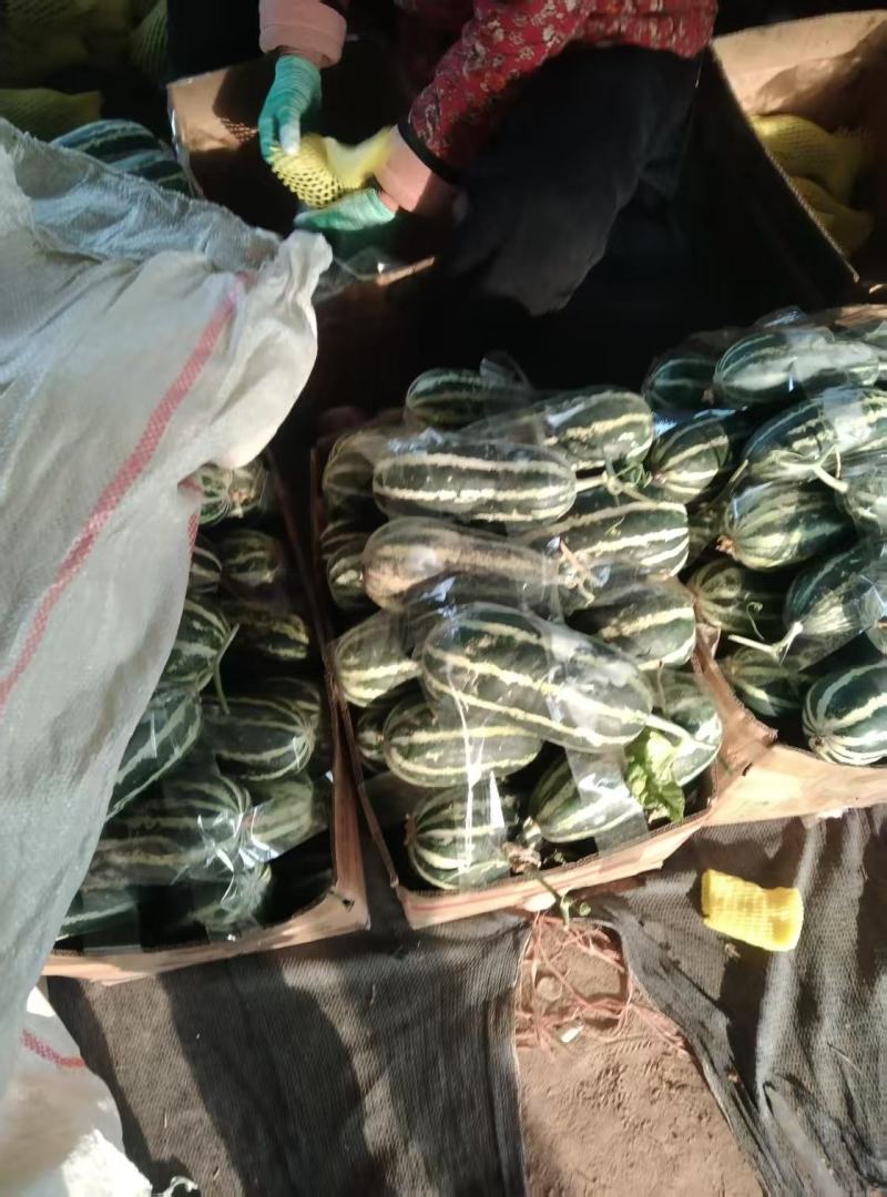 博洋9大量供货产地直发价格优惠品质保证欢迎来电谈