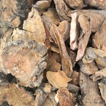 土大黄，切片通货，产地直销，价格优美，货源充足