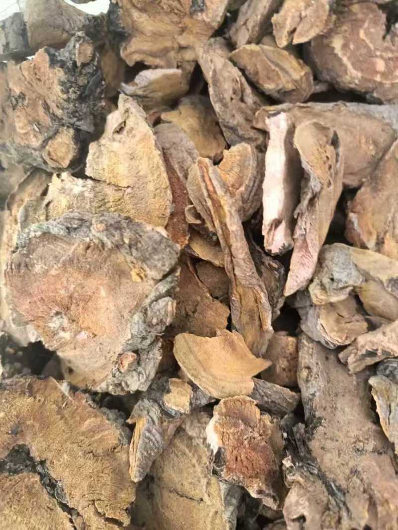 土大黄，切片通货，产地直销，价格优美，货源充足