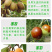 【防裂素】防止裂果增加果胶含氨基酸水溶肥瓜果蔬菜防裂果肥