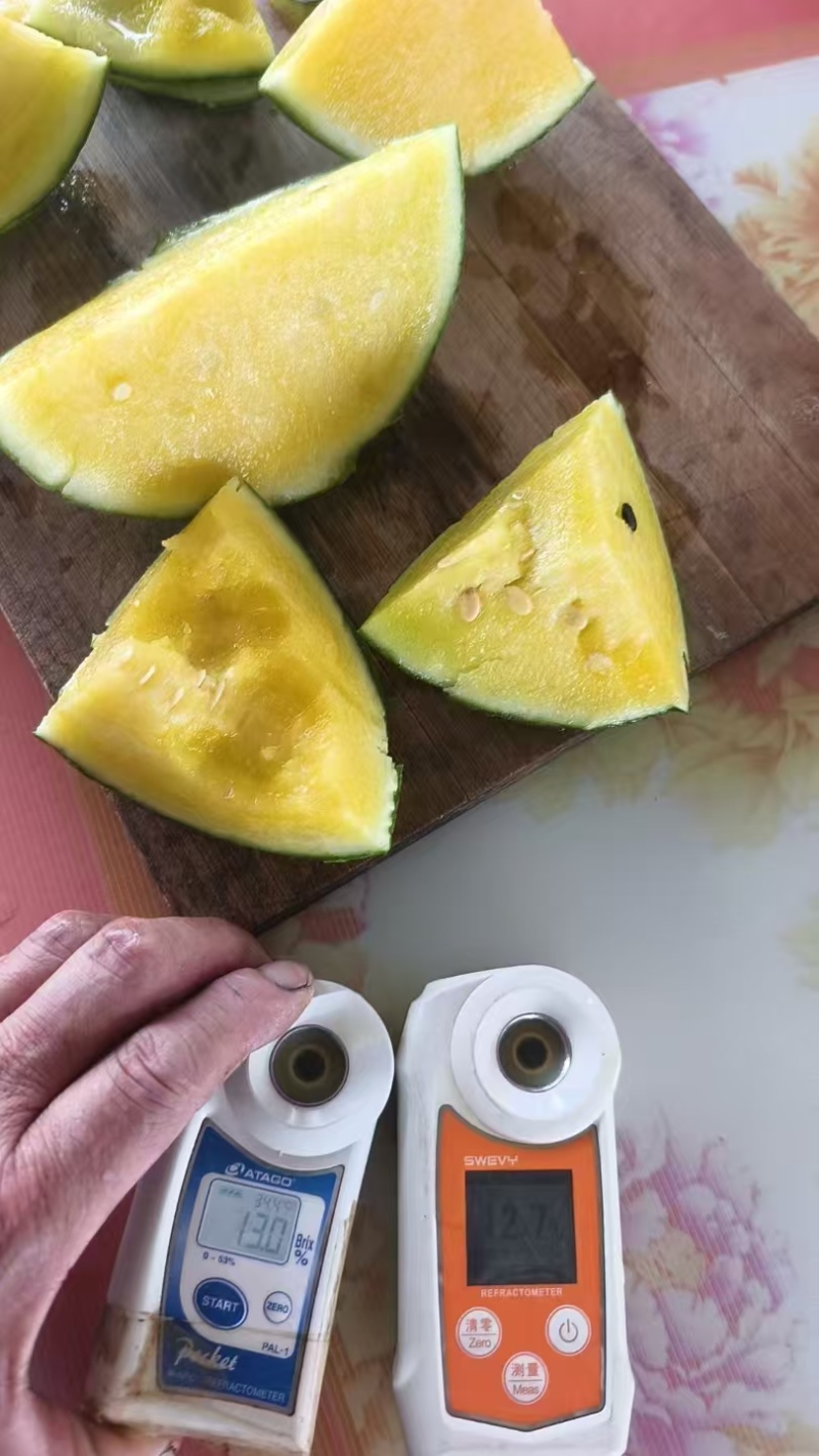 精品特小凤（小兰瓜）货源充足包熟包甜大量上市