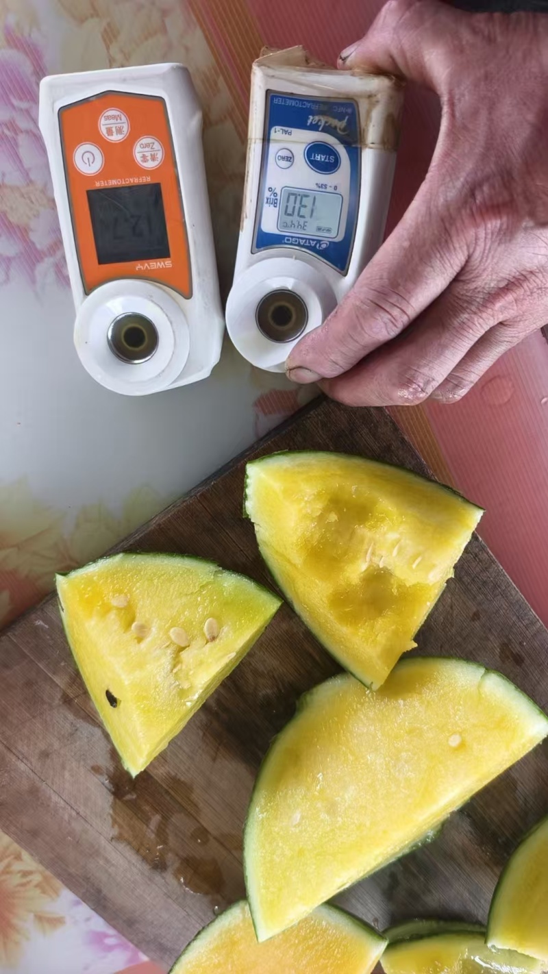 精品特小凤（小兰瓜）货源充足包熟包甜大量上市