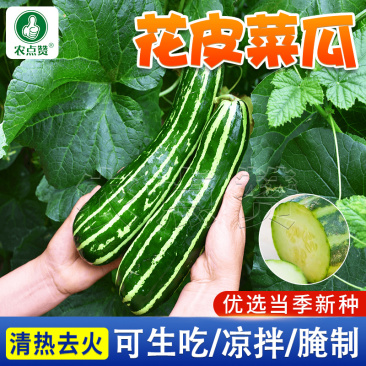 花皮菜瓜种子-味清香甜美100粒/袋