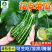 花皮菜瓜种子-味清香甜美100粒/袋